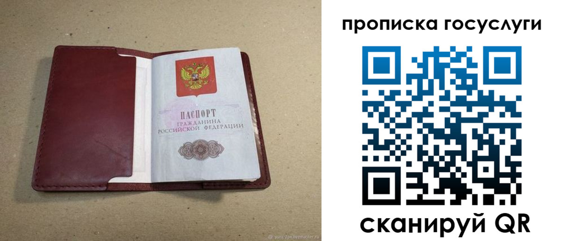 прописка поиск в Петрозаводске
